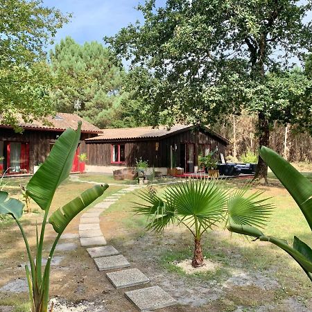 Hacienda De La Canopee Avec Piscine Chauffee Au Sel 乌尔坦湖 外观 照片