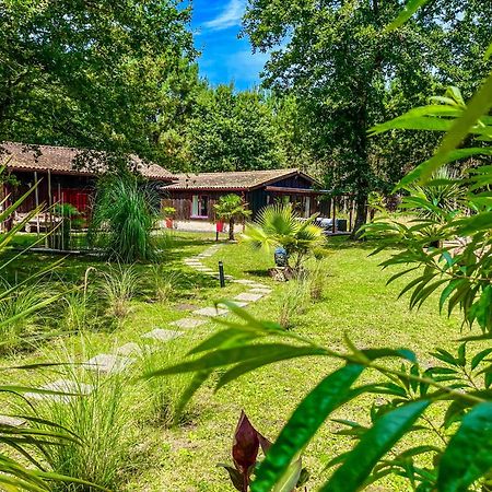 Hacienda De La Canopee Avec Piscine Chauffee Au Sel 乌尔坦湖 外观 照片