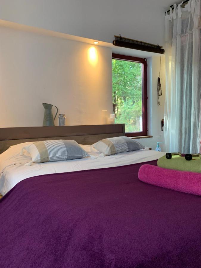 Hacienda De La Canopee Avec Piscine Chauffee Au Sel 乌尔坦湖 外观 照片