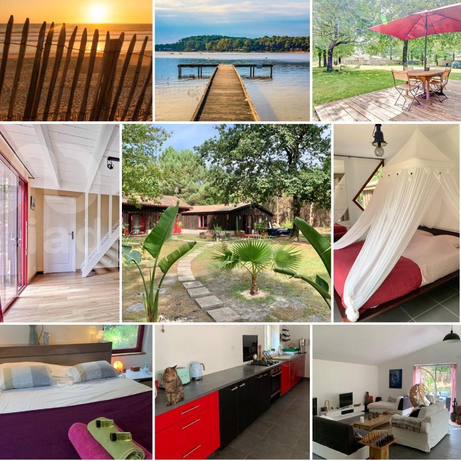Hacienda De La Canopee Avec Piscine Chauffee Au Sel 乌尔坦湖 外观 照片