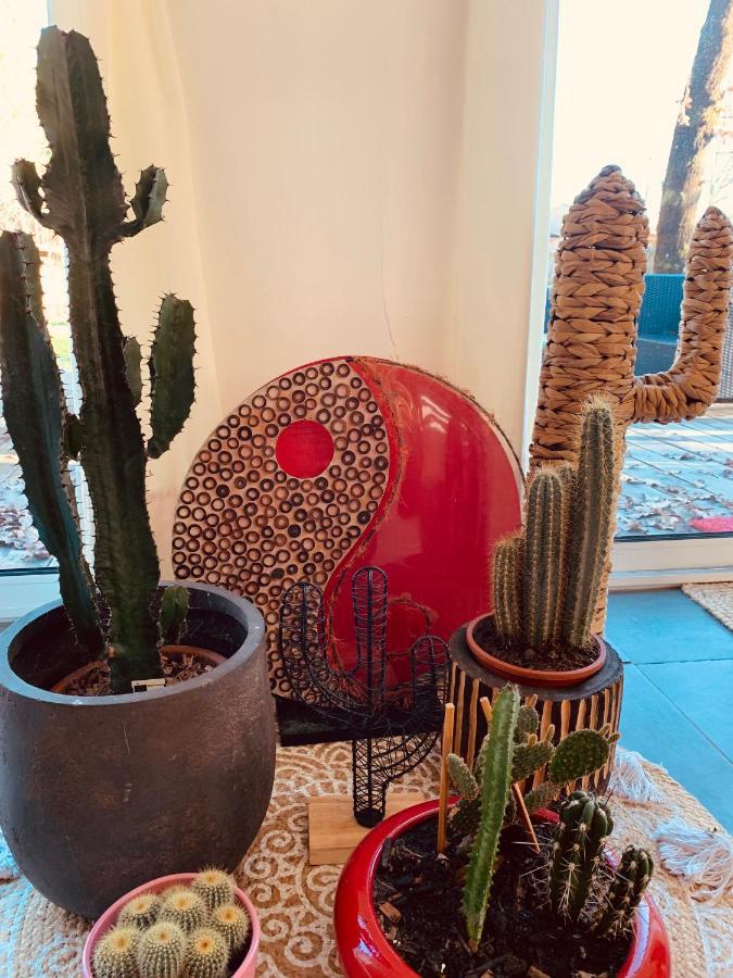 Hacienda De La Canopee Avec Piscine Chauffee Au Sel 乌尔坦湖 外观 照片
