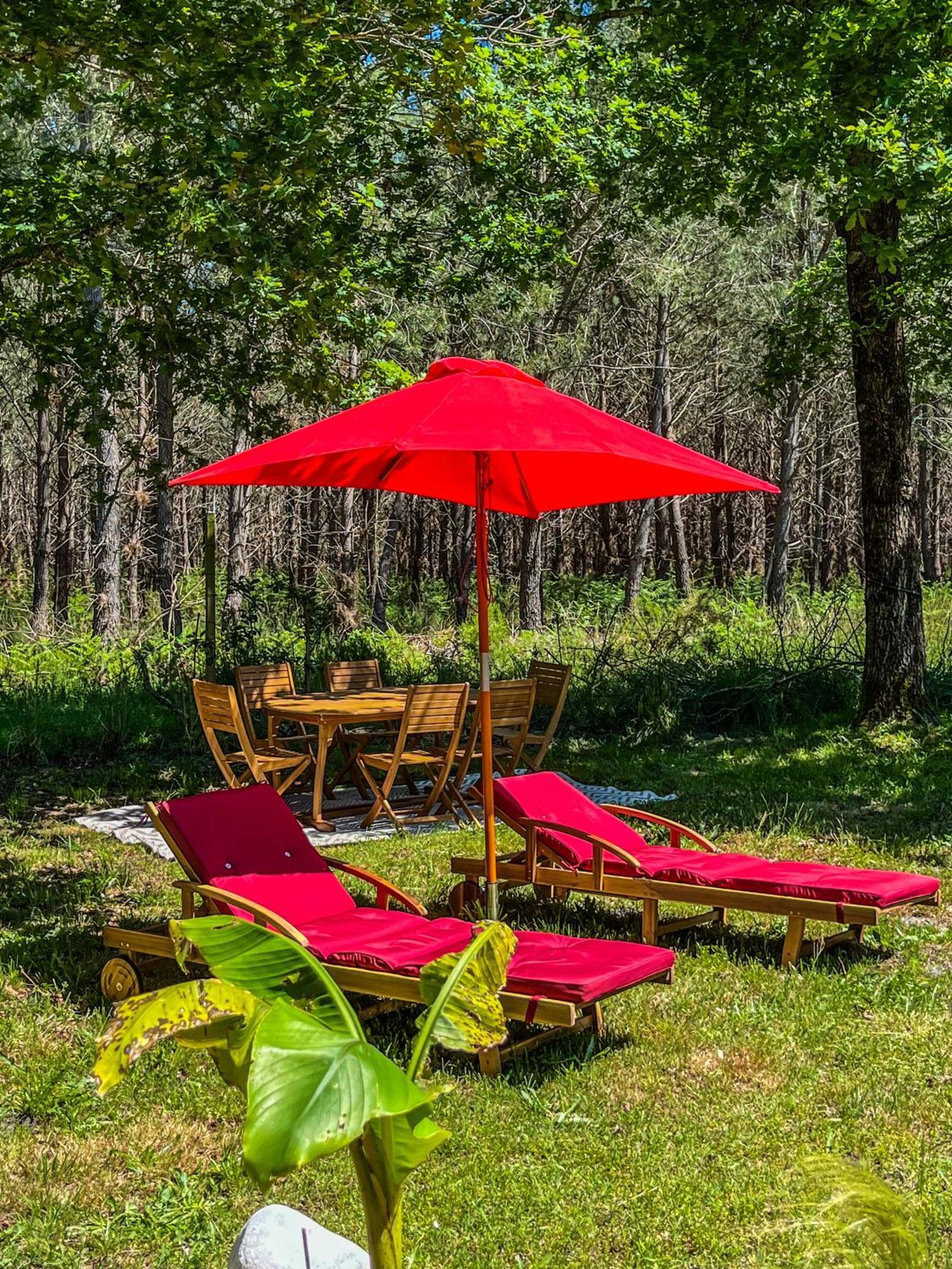 Hacienda De La Canopee Avec Piscine Chauffee Au Sel 乌尔坦湖 外观 照片
