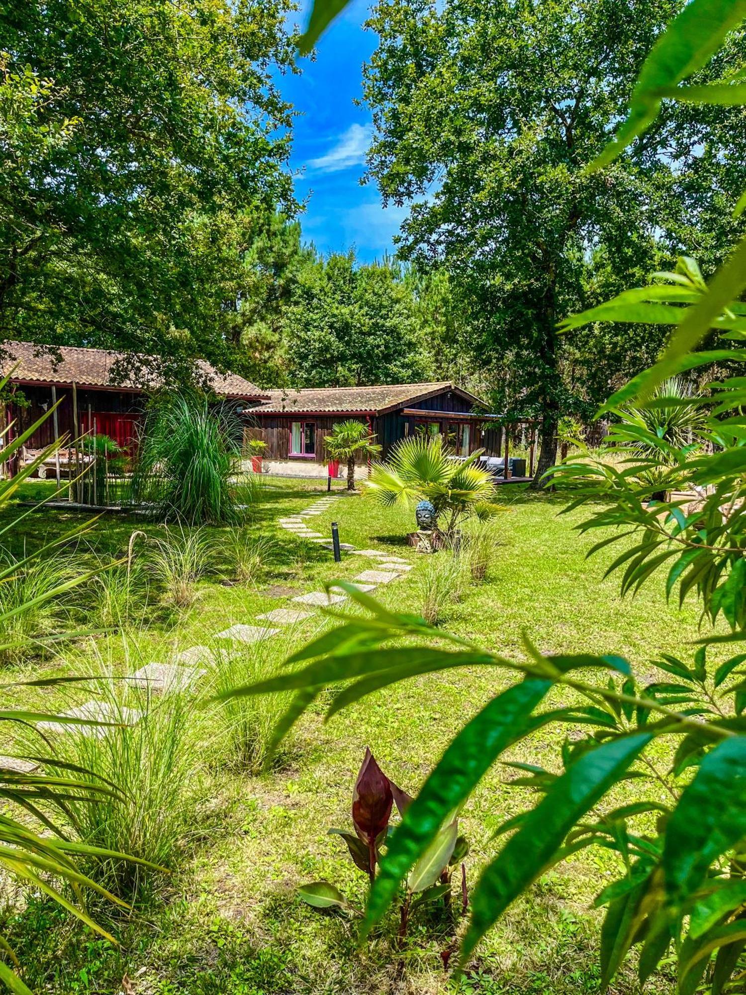 Hacienda De La Canopee Avec Piscine Chauffee Au Sel 乌尔坦湖 外观 照片